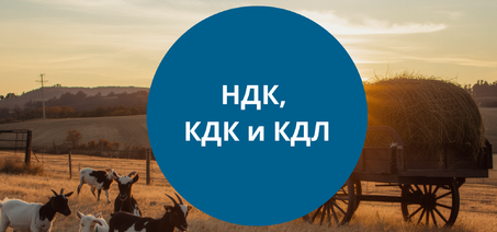 Определение НДК, КДК и КДЛ в кормах: методы и оборудование
